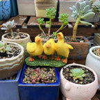 Garden Decor Resin Three Ducks Statue Decorative Cute Ducks Sculpture Cartoon Animal Miniatures Figurine Garden
