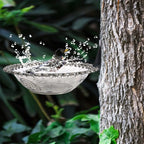 Home Outdoor Balcony Bird Bath, Wall Mounted Bird Bath, Tree Mounted Bird Bath, Suitable For Garden Fence, Terrace, Patio Decor