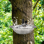 Home Outdoor Balcony Bird Bath, Wall Mounted Bird Bath, Tree Mounted Bird Bath, Suitable For Garden Fence, Terrace, Patio Decor