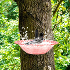 Home Outdoor Balcony Bird Bath, Wall Mounted Bird Bath, Tree Mounted Bird Bath, Suitable For Garden Fence, Terrace, Patio Decor